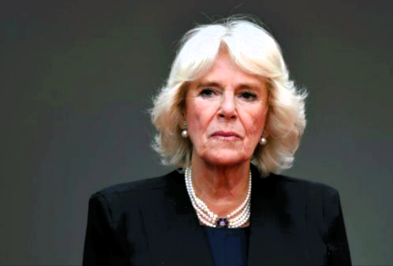 La regina Camilla furiosa con il principe Harry: scoprite perché!